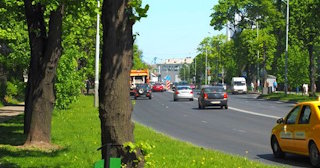 Посадка деревьев и кустарников в Сланцах — стоимость от 1240 руб.